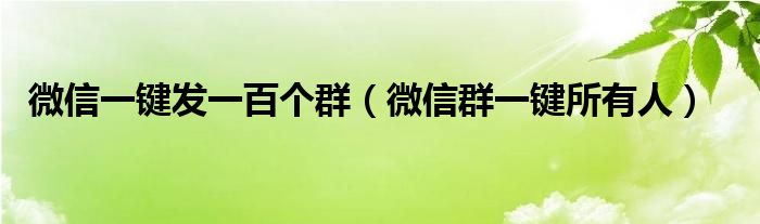 微信一键发一百个群(微信群一键所有人)