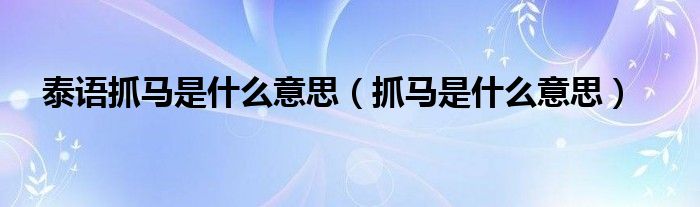 泰语抓马是什么意思(抓马是什么意思)