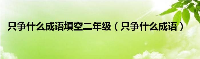 只争什么成语填空二年级（只争什么成语）
