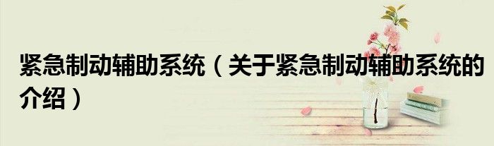 紧急制动辅助系统（关于紧急制动辅助系统的介绍）