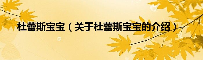 杜蕾斯宝宝（关于杜蕾斯宝宝的介绍）
