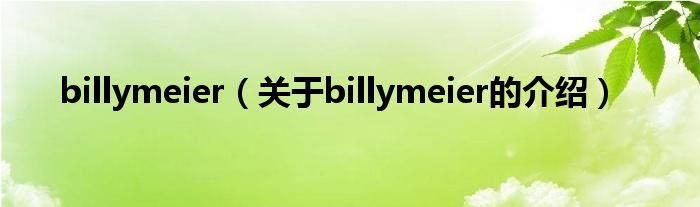 billymeier(关于billymeier的介绍)