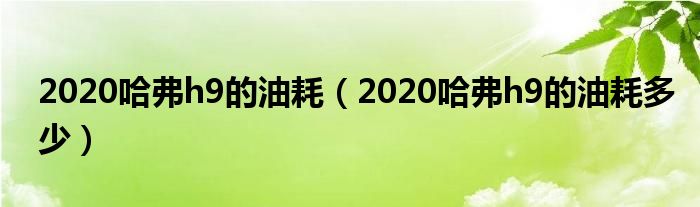 2020哈弗h9的油耗（2020哈弗h9的油耗多少）