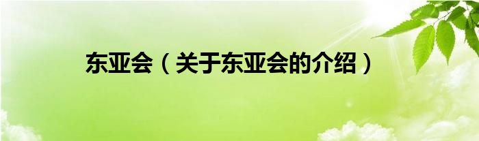 东亚会（关于东亚会的介绍）