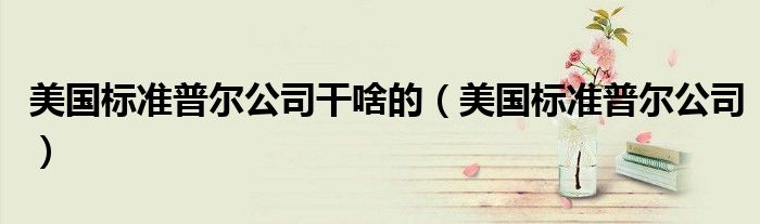 美国标准普尔公司干啥的(美国标准普尔公司)