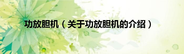 功放胆机（关于功放胆机的介绍）